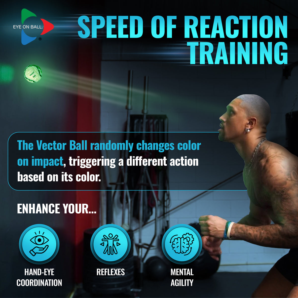 Vector Ball